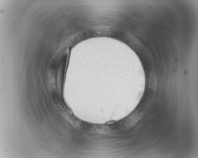 X0000052611298200507292138