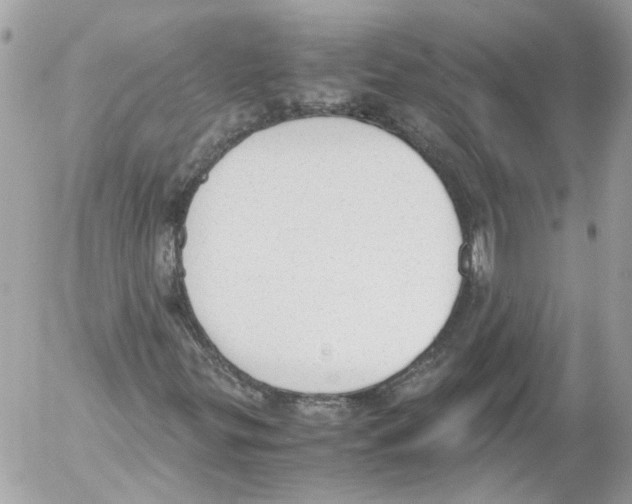 X0000052611299200507292138