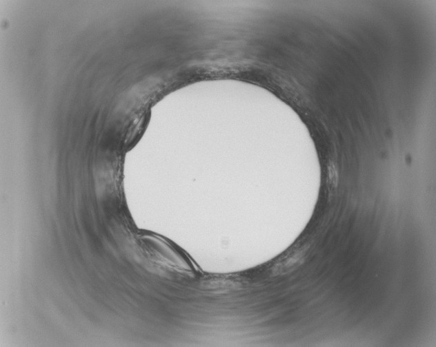 X0000052611300200507292138