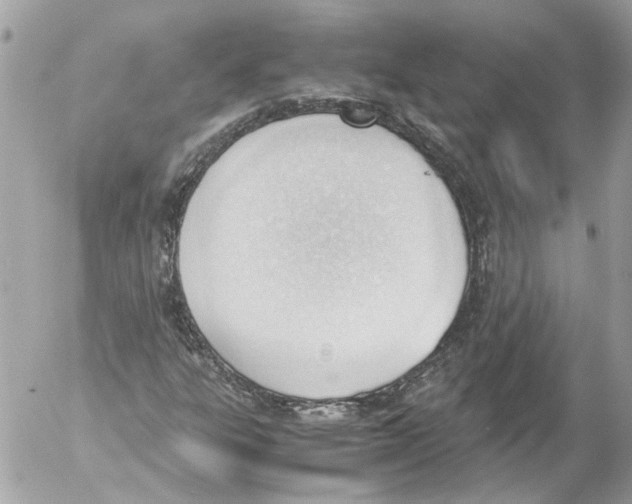 X0000052611303200507292138