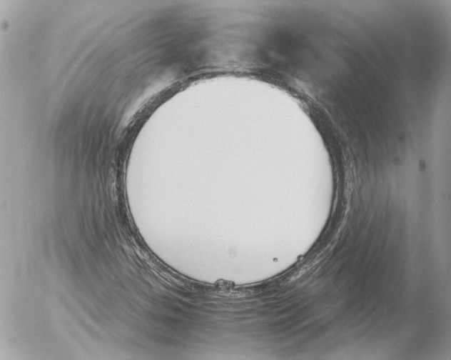 X0000052611307200507292138