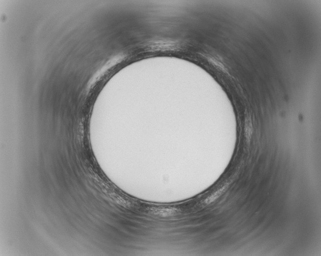 X0000052611309200507292139