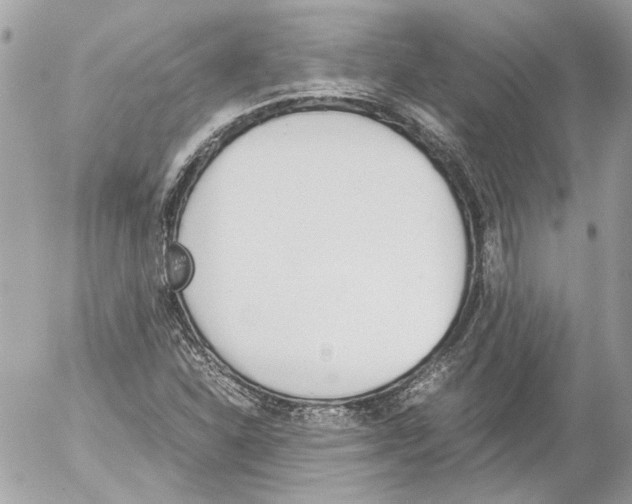 X0000052611310200507292139