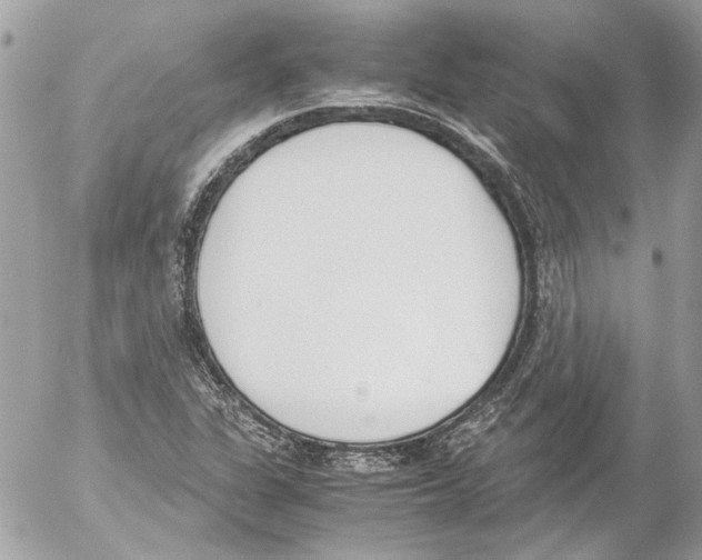 X0000052611311200507292139