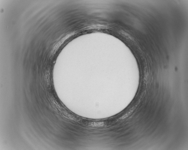 X0000052611313200507292139