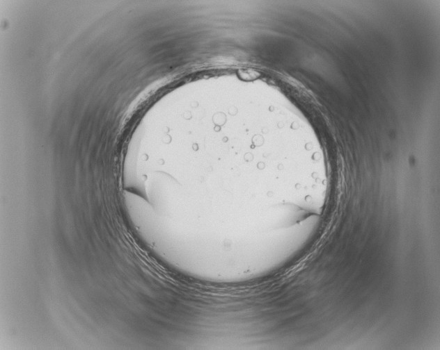 X0000052611314200507292139