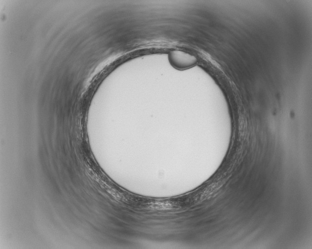 X0000052611315200507292139