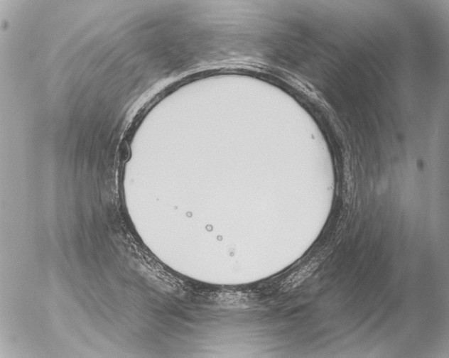 X0000052611316200507292139