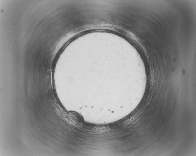 X0000052611320200507292139