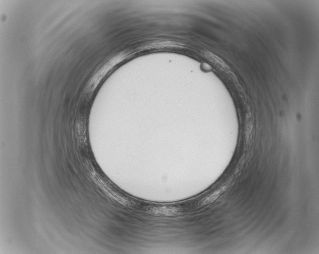 X0000052611321200507292139