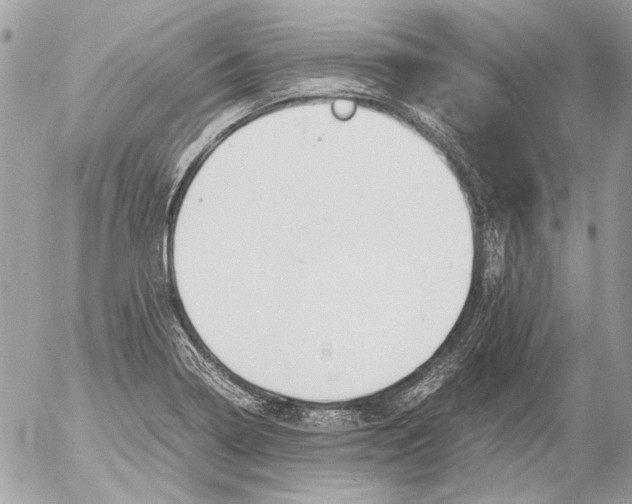 X0000052611322200507292139