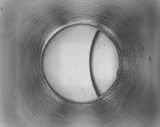 X0000052611324200507292139