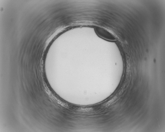 X0000052611325200507292139