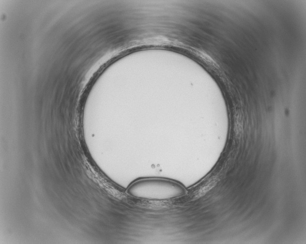 X0000052611326200507292139