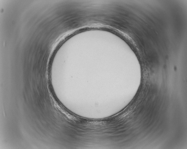 X0000052611327200507292139