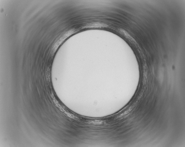 X0000052611329200507292139