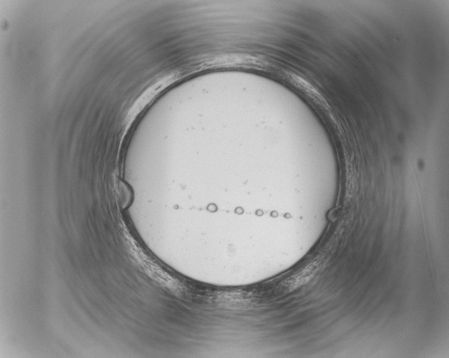 X0000052611330200507292139