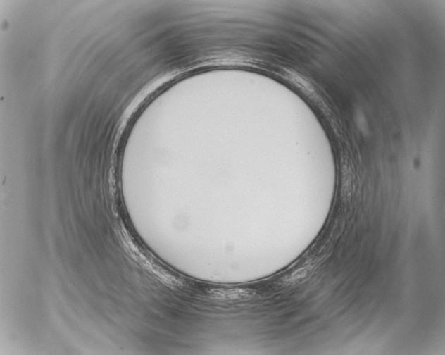 X0000052611331200507292139