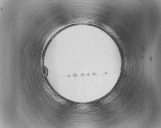 X0000052611332200507292139