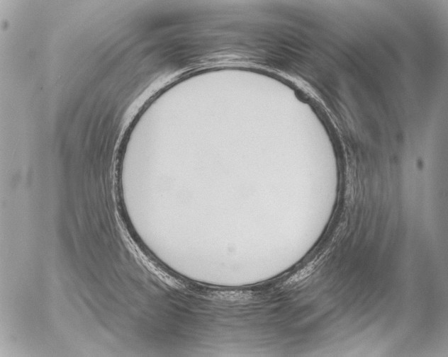 X0000052611333200507292139