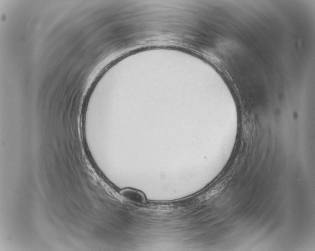 X0000052611334200507292139