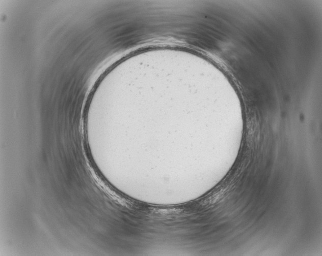 X0000052611335200507292139