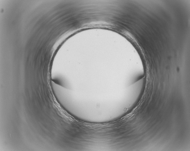 X0000052611336200507292139