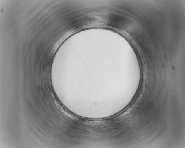 X0000052611337200507292139