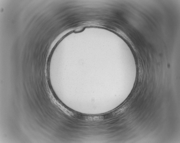 X0000052611339200507292139