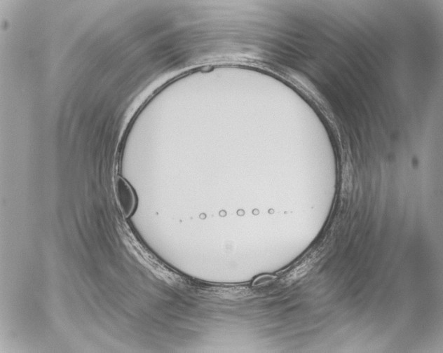 X0000052611340200507292139