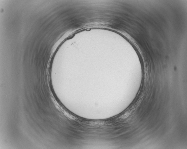 X0000052611341200507292139