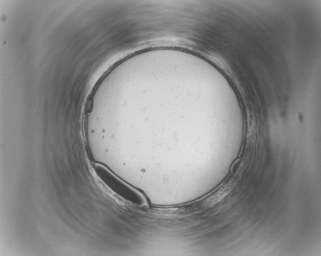 X0000052611342200507292139