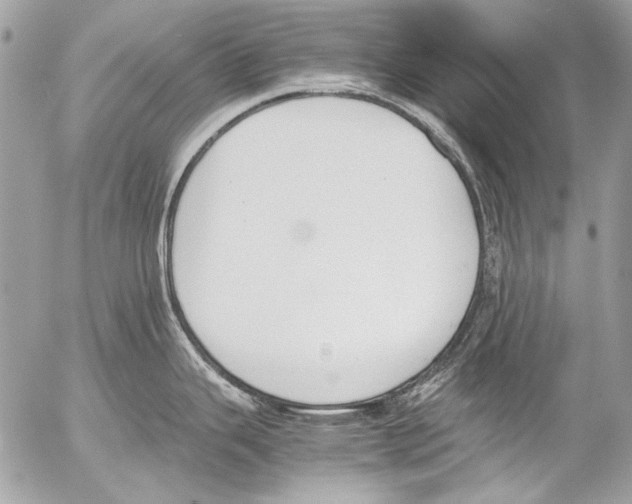 X0000052611343200507292139