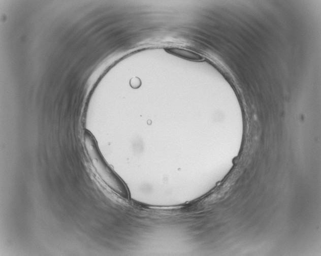 X0000052611344200507292139