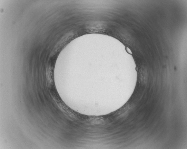 X0000052611346200507292138