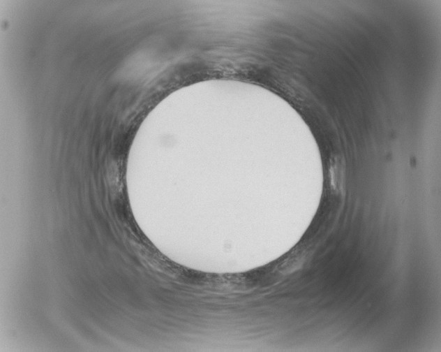 X0000052611347200507292138