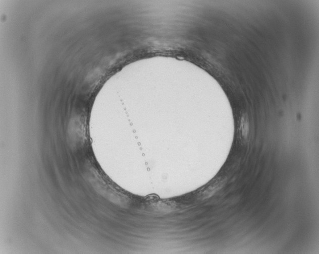 X0000052611348200507292138