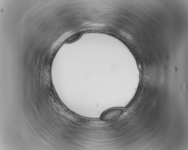 X0000052611354200507292138