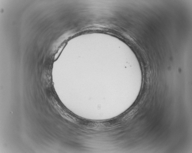 X0000052611355200507292138