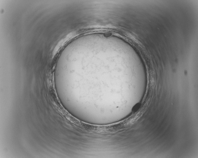 X0000052611357200507292138