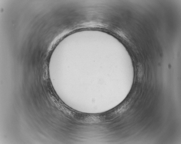 X0000052611358200507292138