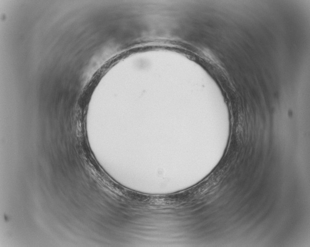 X0000052611360200507292138