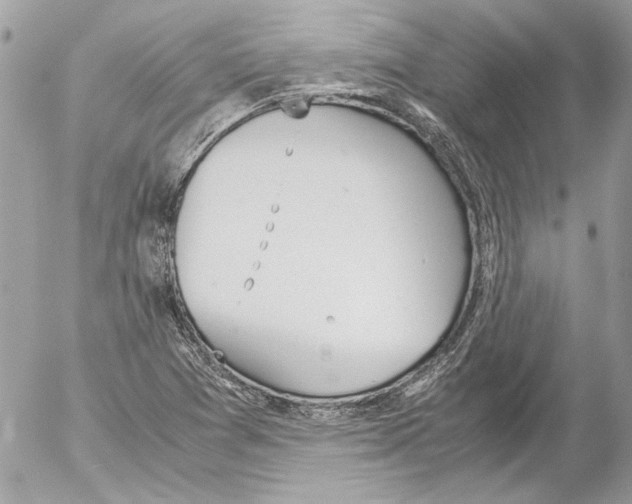 X0000052611361200507292138