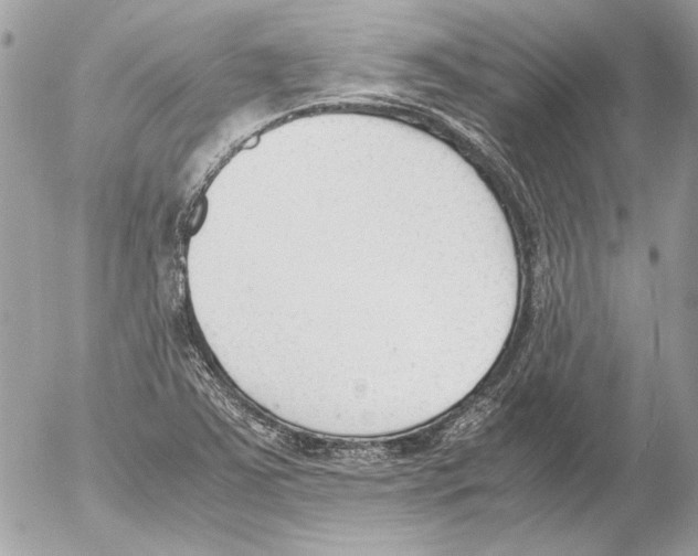 X0000052611363200507292138