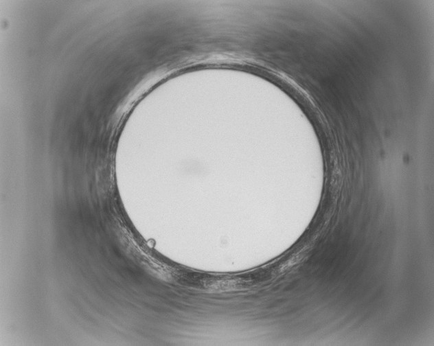 X0000052611367200507292138