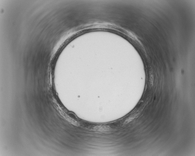 X0000052611368200507292138