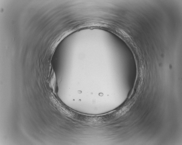 X0000052611369200507292138