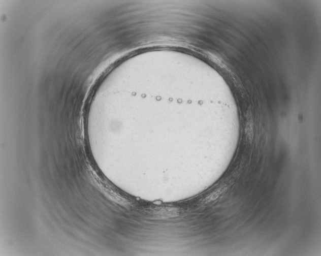 X0000052611372200507292138