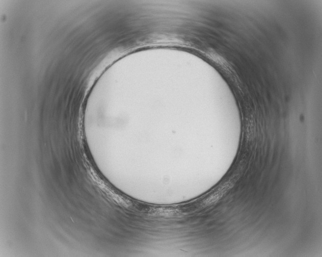 X0000052611374200507292138