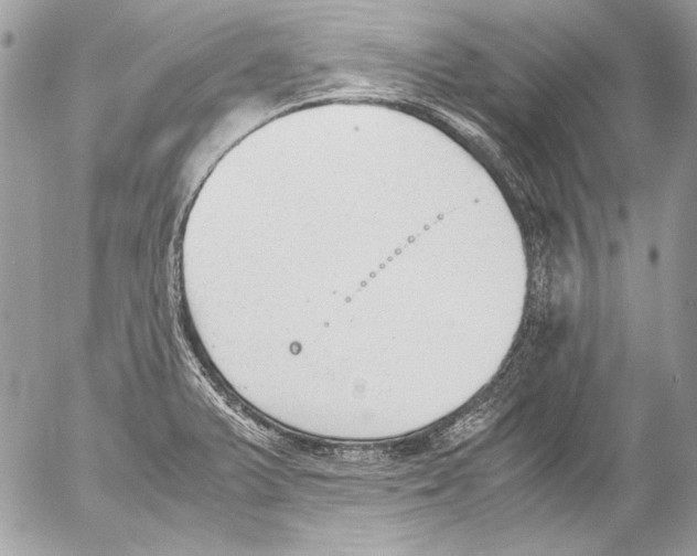 X0000052611375200507292138